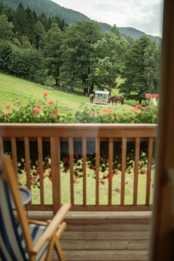 Blick von der Terasse auf ein Feld mit Pferden