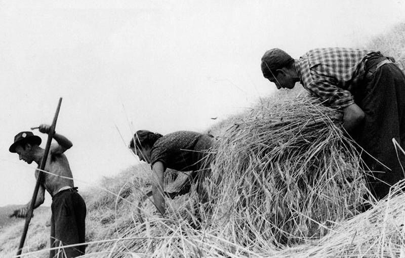 Schwarz-weiss Bild mit drei Personen bei Heuarbeiten