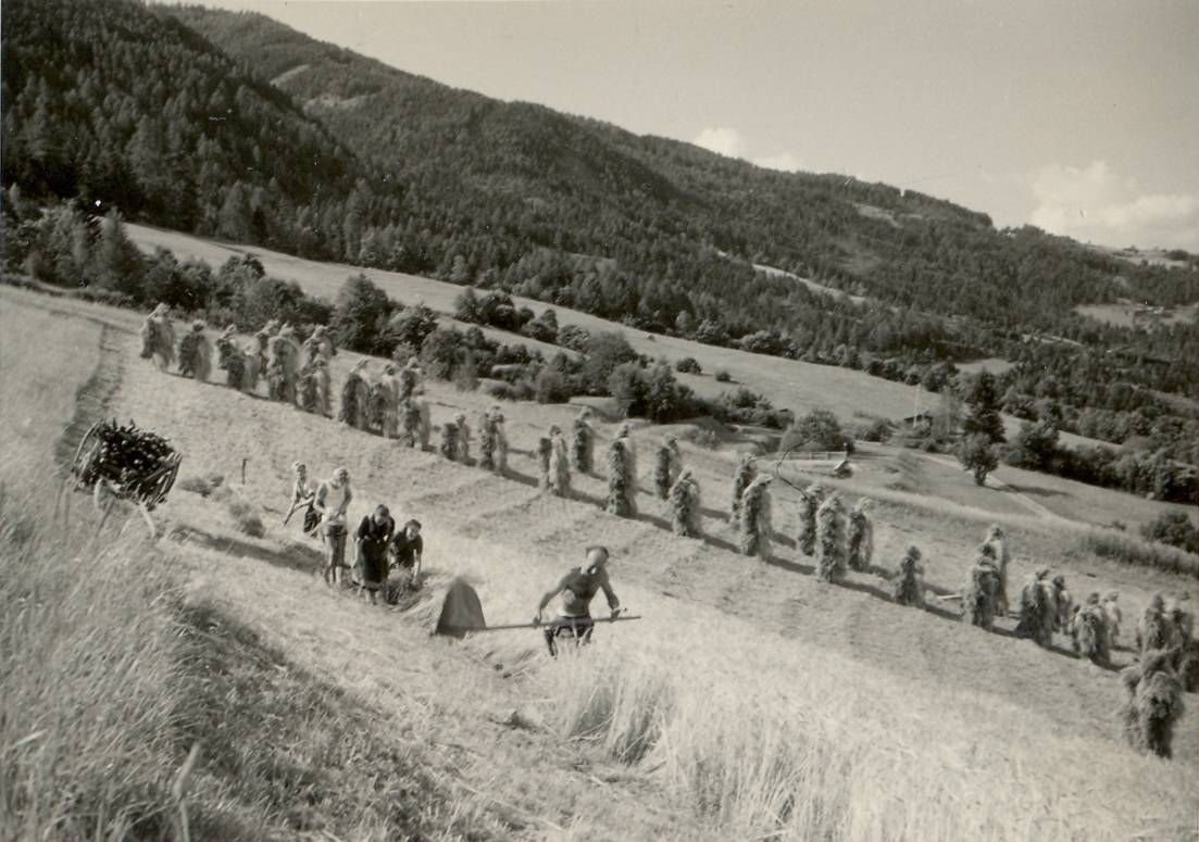 Schwarz-weiss Bild mit drei Personen bei Heuarbeiten